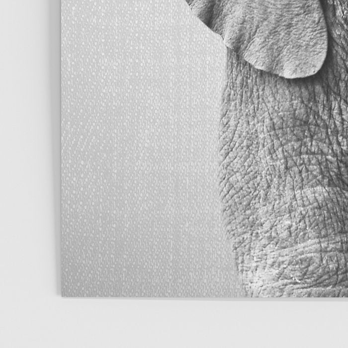 Baby Elephant - Black & White Poster Gallery Image 3