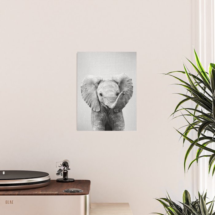 Baby Elephant - Black & White Poster Gallery Image 2