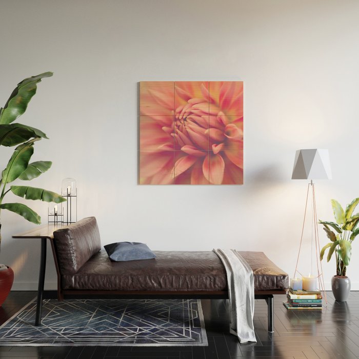 Dahlia 7 Wood Wall Art Gallery Image 2