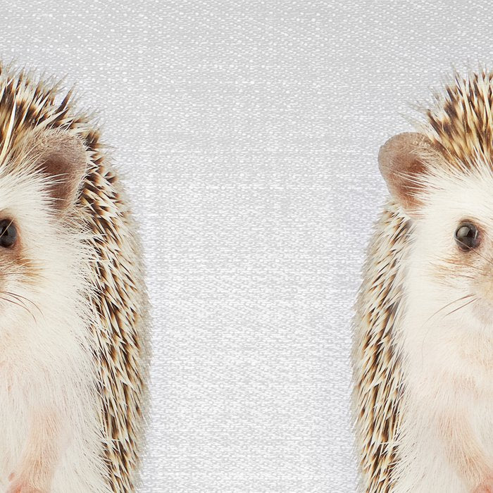 Hedgehog - Colorful Coffee Mug Gallery Image 2