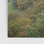Autumn Forest Canopy | Serene Landscape Photography Poster Gallery Image 3