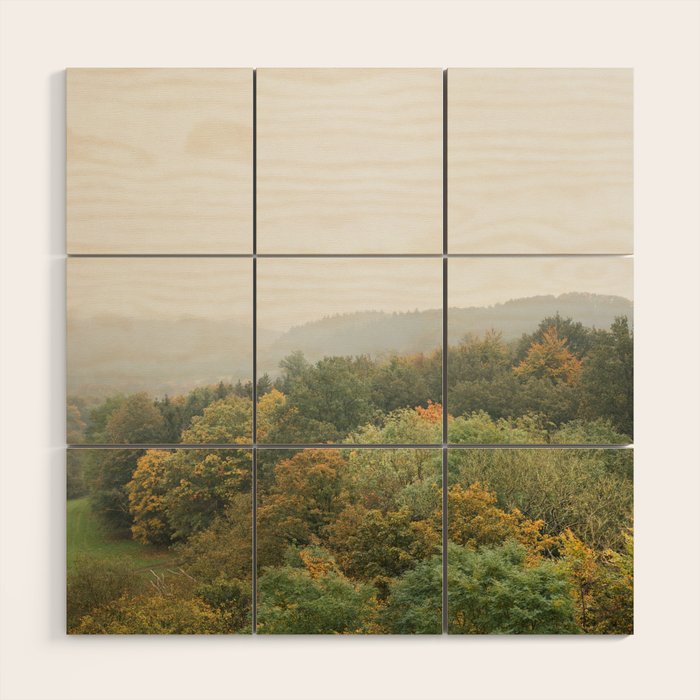 Autumn Forest Canopy | Serene Landscape Photography Wood Wall Art Gallery Image 1