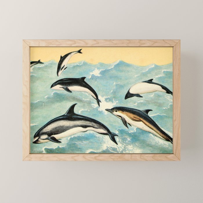 Cetaceans from "Field Book of Giant Fishes," 1949. Mini Art Print Gallery Image 1