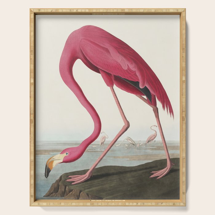 Pink Flamingo Vintage Art Serving Tray Gallery Image 1