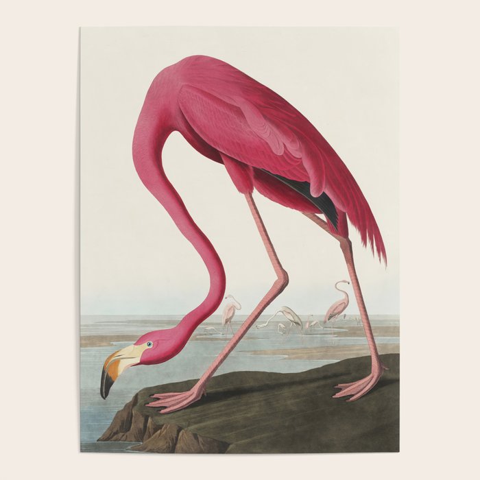 Pink Flamingo Vintage Art Poster Gallery Image 1