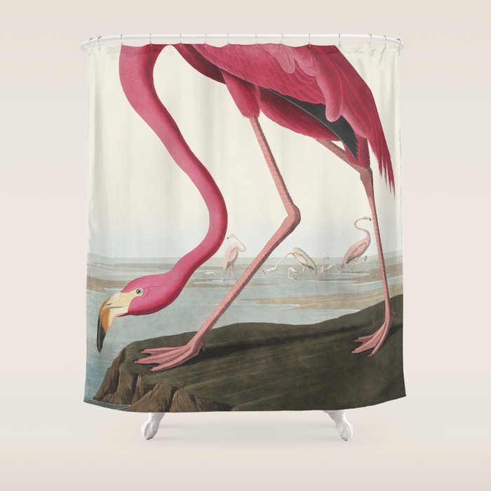 Pink Flamingo Vintage Art Shower Curtain Gallery Image 1