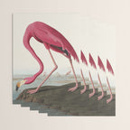 Pink Flamingo Vintage Art Wrapping Paper Gallery Image 3
