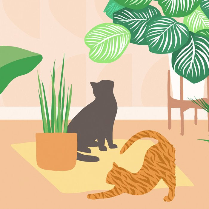 Home Green Home Garden with Cats Coffee Mug Gallery Image 2