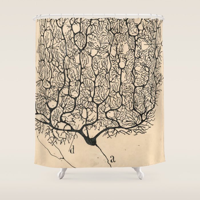 Neuron Drawing By Santiago Ramón Y Cajal Shower Curtain Gallery Image 1