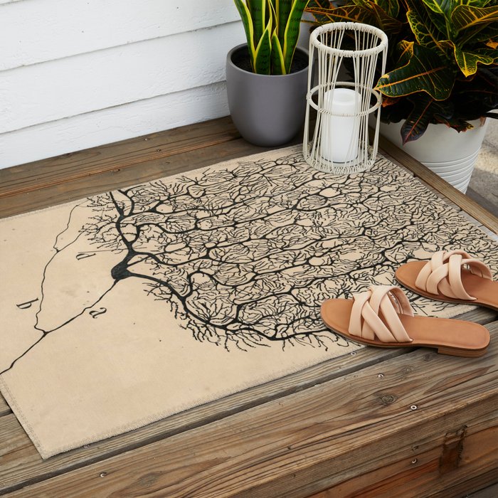Neuron Drawing By Santiago Ramón Y Cajal Outdoor Rug Gallery Image 2