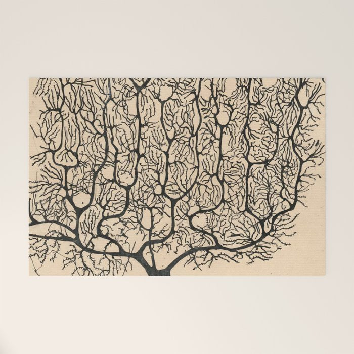 Neuron Drawing By Santiago Ramón Y Cajal Welcome Mat Gallery Image 1