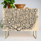 Neuron Drawing By Santiago Ramón Y Cajal Credenza Gallery Image 1