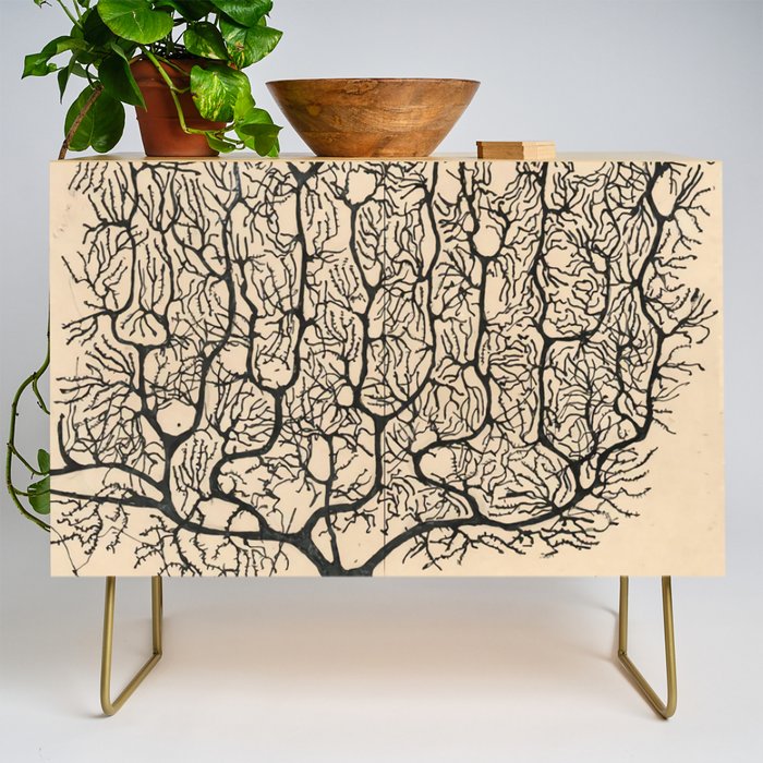 Neuron Drawing By Santiago Ramón Y Cajal Credenza Gallery Image 1