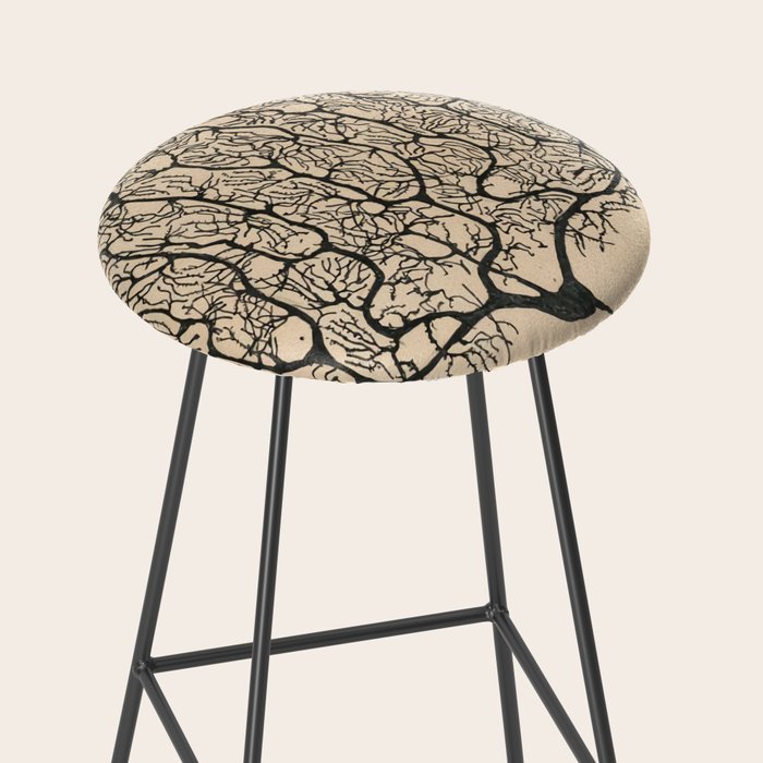 Neuron Drawing By Santiago Ramón Y Cajal Stool Gallery Image 2
