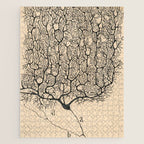 Neuron Drawing By Santiago Ramón Y Cajal Jigsaw Puzzle Gallery Image 1