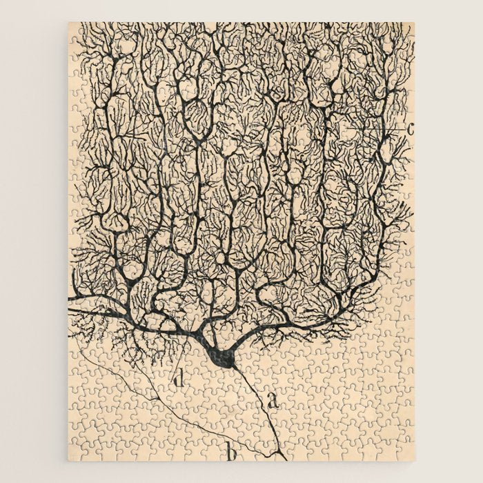 Neuron Drawing By Santiago Ramón Y Cajal Jigsaw Puzzle Gallery Image 1
