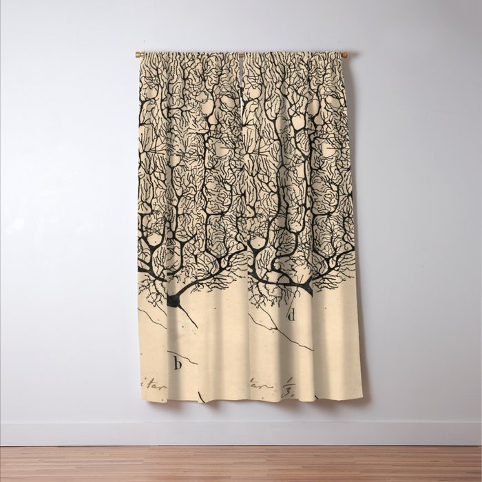 Neuron Drawing By Santiago Ramón Y Cajal Window Curtain Gallery Image 3