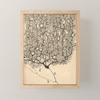 Neuron Drawing By Santiago Ramón Y Cajal Mini Art Print Gallery Image 1