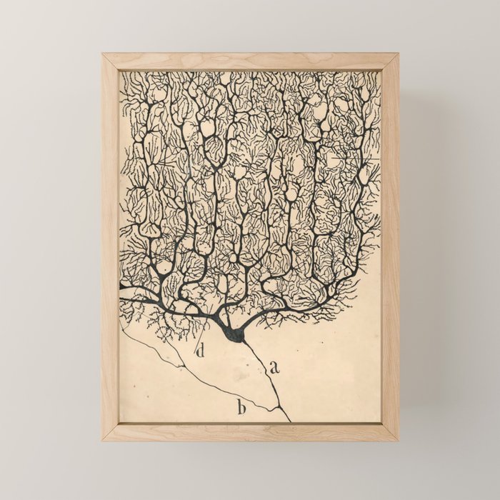 Neuron Drawing By Santiago Ramón Y Cajal Mini Art Print Gallery Image 1