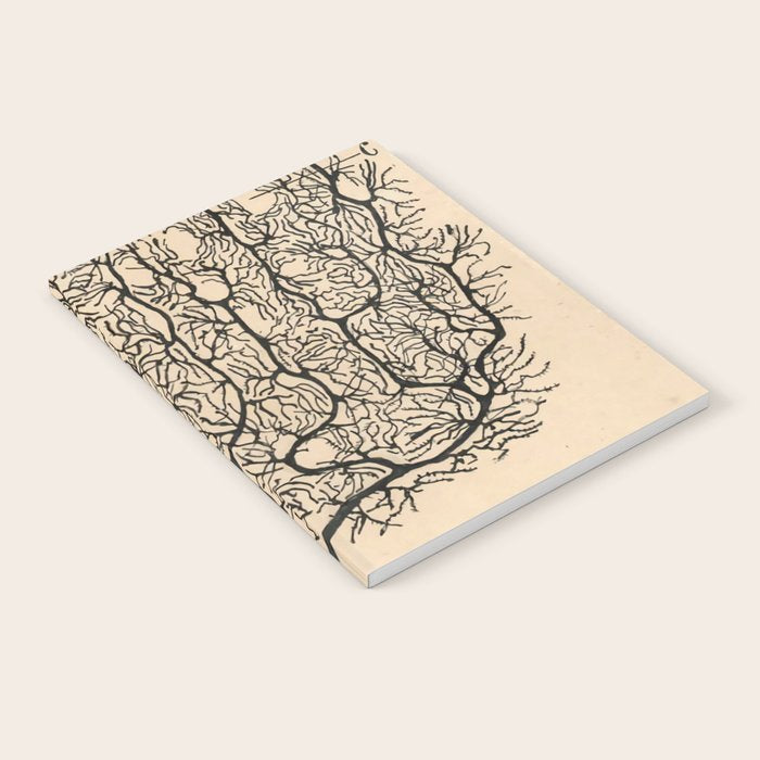 Neuron Drawing By Santiago Ramón Y Cajal Notebook Gallery Image 2