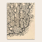 Neuron Drawing By Santiago Ramón Y Cajal Notebook Gallery Image 4