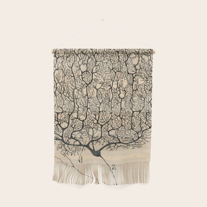 Neuron Drawing By Santiago Ramón Y Cajal Wall Hanging Gallery Image 1