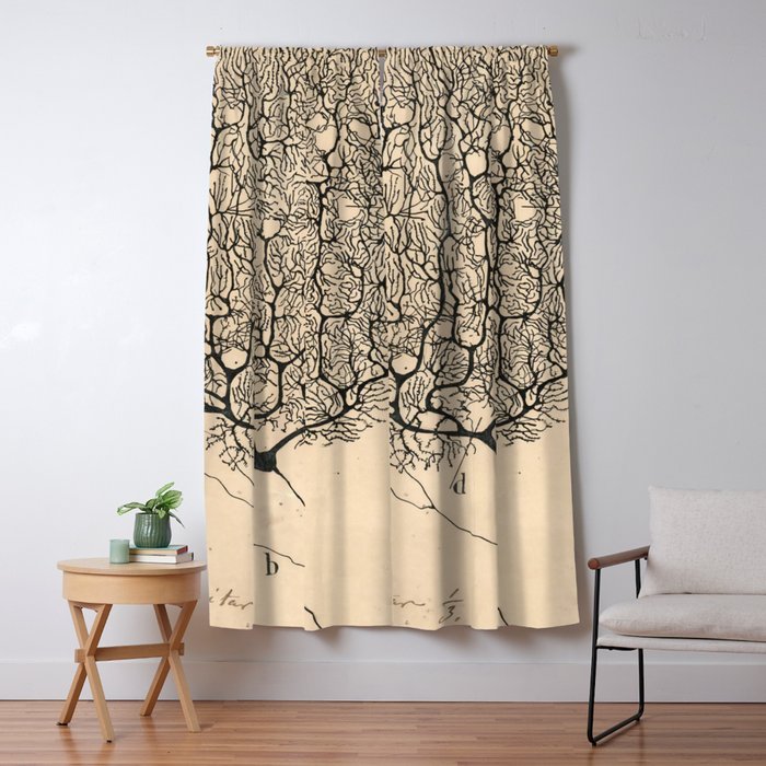 Neuron Drawing By Santiago Ramón Y Cajal Window Curtain Gallery Image 1