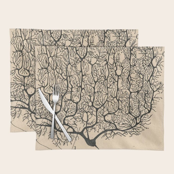 Neuron Drawing By Santiago Ramón Y Cajal Placemat Gallery Image 1