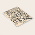 Neuron Drawing By Santiago Ramón Y Cajal Notebook Gallery Image 3