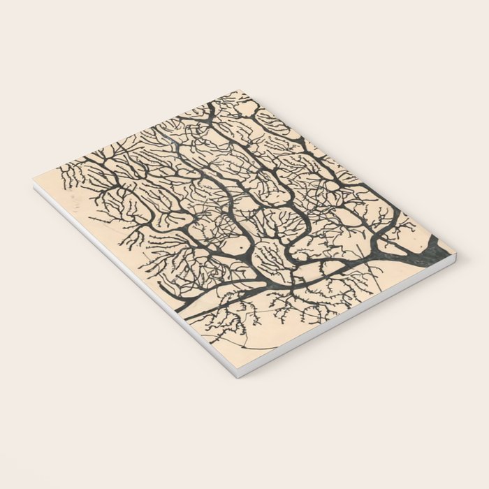 Neuron Drawing By Santiago Ramón Y Cajal Notebook Gallery Image 3