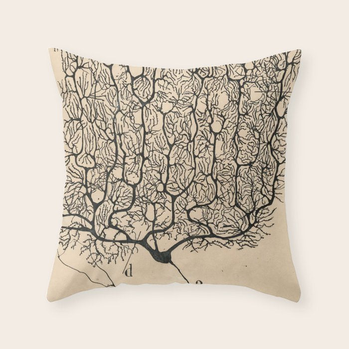 Neuron Drawing By Santiago Ramón Y Cajal Throw Pillow Gallery Image 6