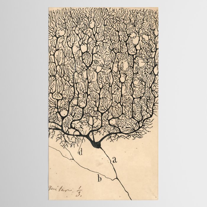 Neuron Drawing By Santiago Ramón Y Cajal Tablecloth Gallery Image 2