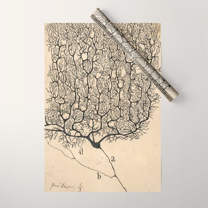 Neuron Drawing By Santiago Ramón Y Cajal Wrapping Paper Gallery Image 1