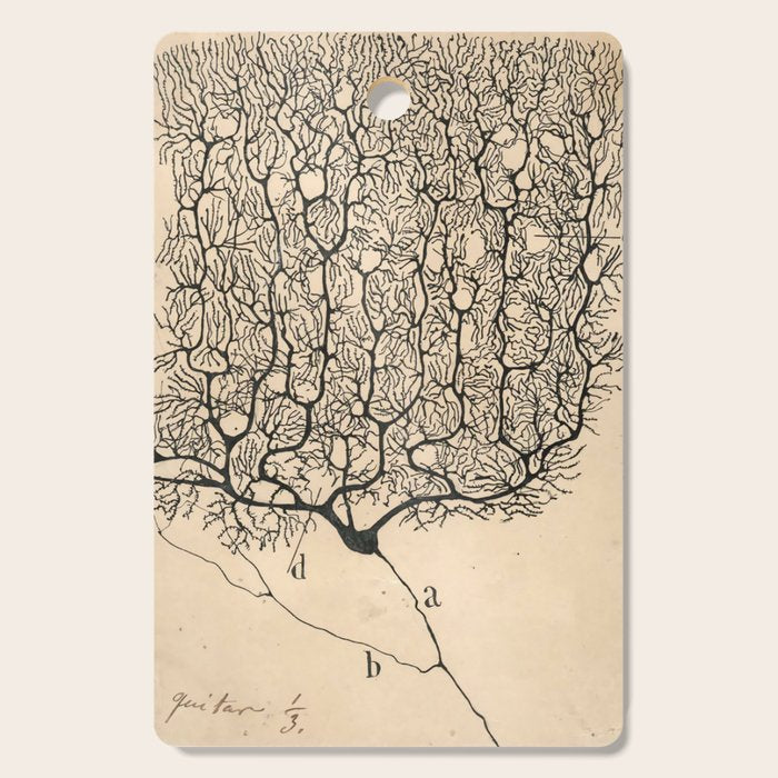 Neuron Drawing By Santiago Ramón Y Cajal Cutting Board Gallery Image 1
