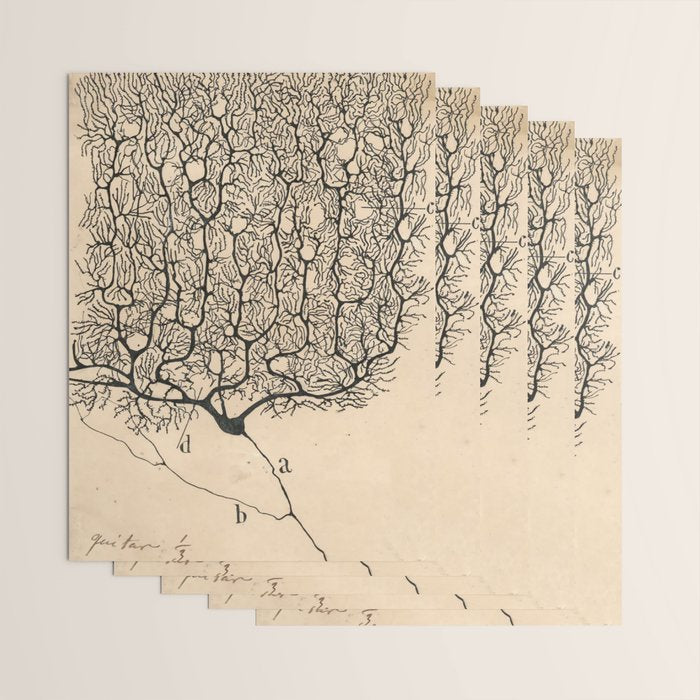 Neuron Drawing By Santiago Ramón Y Cajal Wrapping Paper Gallery Image 3