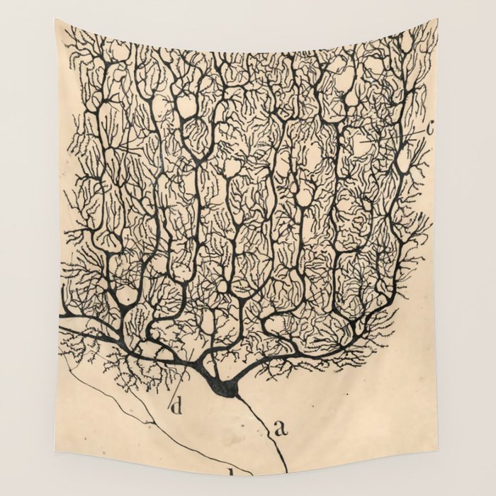 Neuron Drawing By Santiago Ramón Y Cajal Wall Tapestry Gallery Image 1