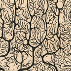 Neuron Drawing By Santiago Ramón Y Cajal Coffee Mug Gallery Image 2