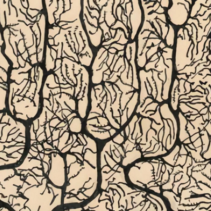Neuron Drawing By Santiago Ramón Y Cajal Coffee Mug Gallery Image 2