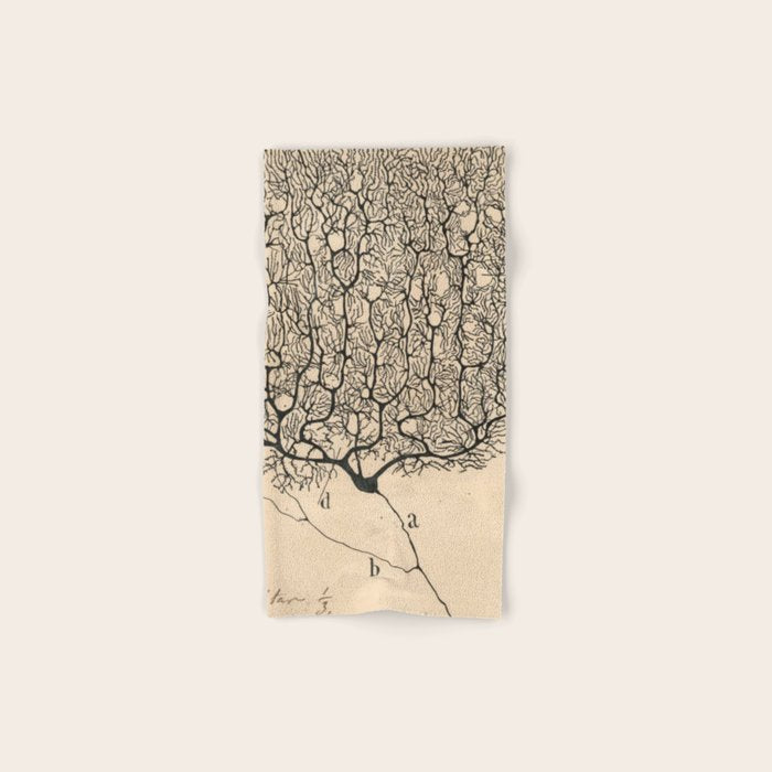 Neuron Drawing By Santiago Ramón Y Cajal Bath Towel Gallery Image 1