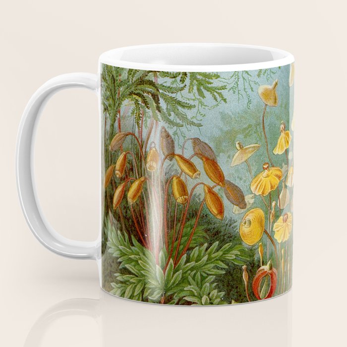 Art Forms of Nature - Ernst Haeckel - 1899-1904  Coffee Mug Gallery Image 3