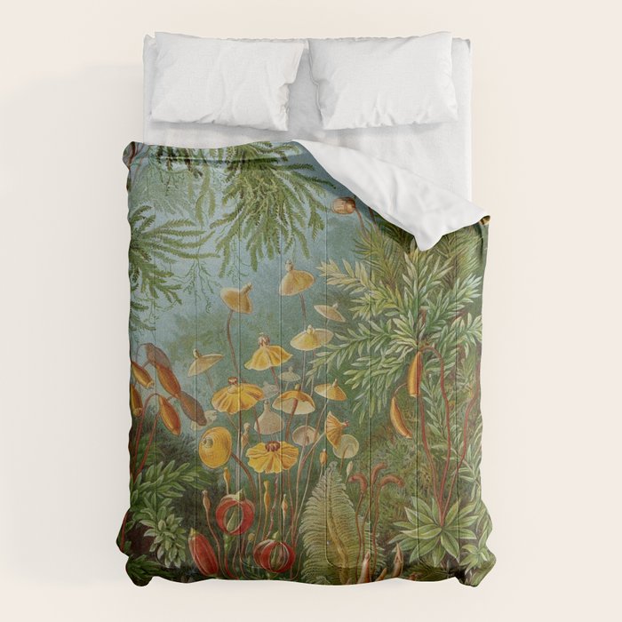 Art Forms of Nature - Ernst Haeckel - 1899-1904  Comforter Gallery Image 1