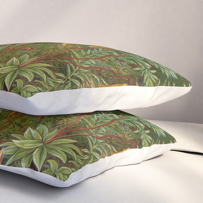 Art Forms of Nature - Ernst Haeckel - 1899-1904  Pillow Sham Gallery Image 3