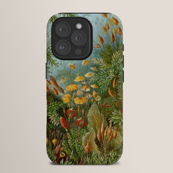 Art Forms of Nature - Ernst Haeckel - 1899-1904  iPhone Case Gallery Image 15