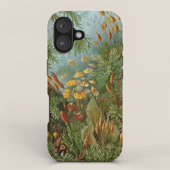 Art Forms of Nature - Ernst Haeckel - 1899-1904  iPhone Case Gallery Image 1