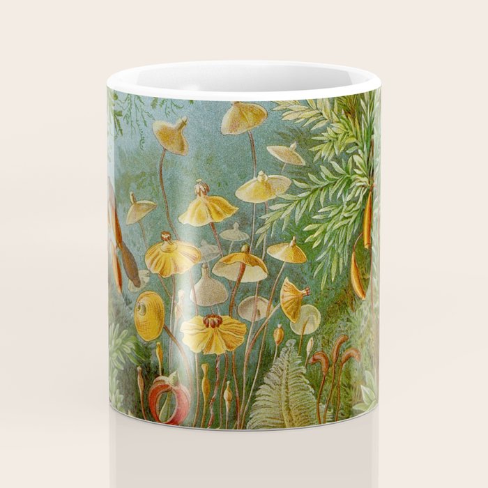 Art Forms of Nature - Ernst Haeckel - 1899-1904  Coffee Mug Gallery Image 4