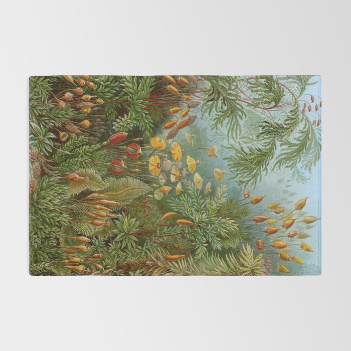 Art Forms of Nature - Ernst Haeckel - 1899-1904  Rug Gallery Image 2