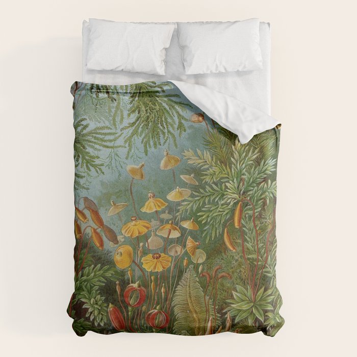 Art Forms of Nature - Ernst Haeckel - 1899-1904  Duvet Cover Gallery Image 6