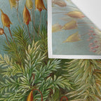 Art Forms of Nature - Ernst Haeckel - 1899-1904  Wall Tapestry Gallery Image 3