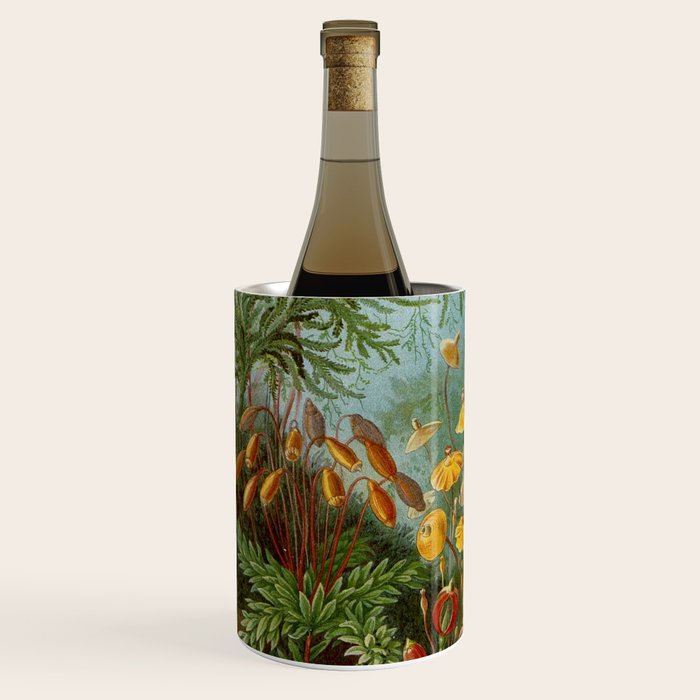 Art Forms of Nature - Ernst Haeckel - 1899-1904  Wine Chiller Gallery Image 2