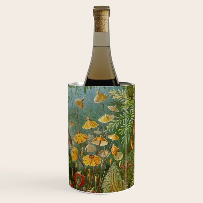 Art Forms of Nature - Ernst Haeckel - 1899-1904  Wine Chiller Gallery Image 1